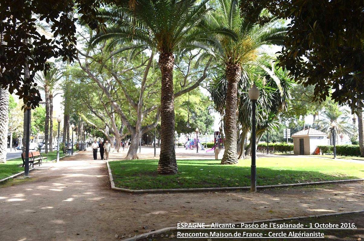 Alicante 027.JPG